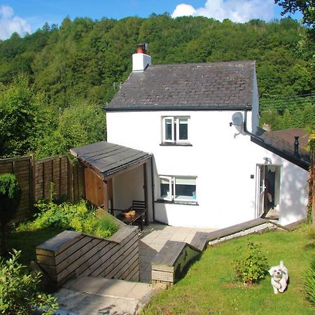 Peacock Cottage Cinderford ภายนอก รูปภาพ