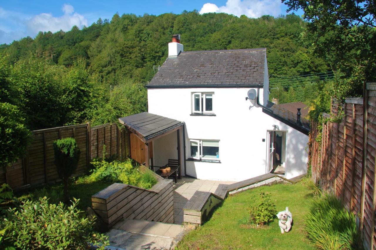 Peacock Cottage Cinderford ภายนอก รูปภาพ