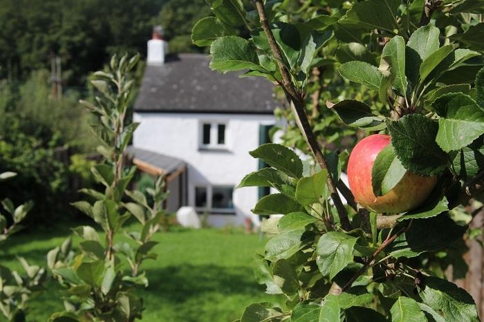Peacock Cottage Cinderford ห้อง รูปภาพ